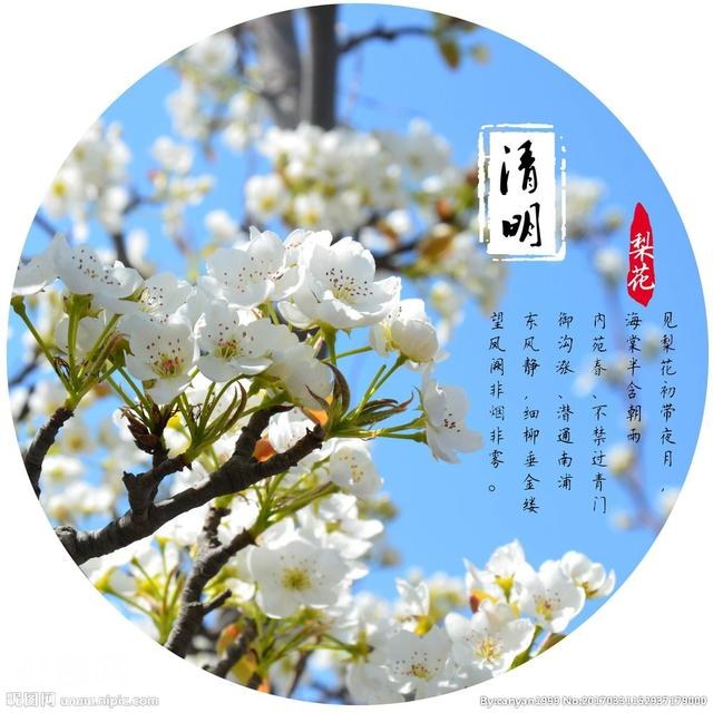 清明节为什么有吃煮鸡蛋的风俗-4.jpg
