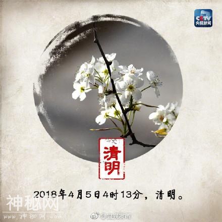 清明节习俗风俗 清明节扫墓祭扫祭拜的禁忌与忌讳-1.jpg