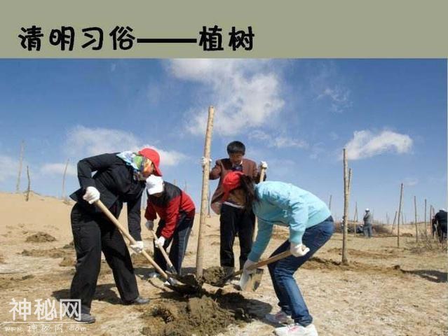 清明时节雨纷纷，路上行人欲断魂，清明节都有哪些风俗习惯呢？-6.jpg