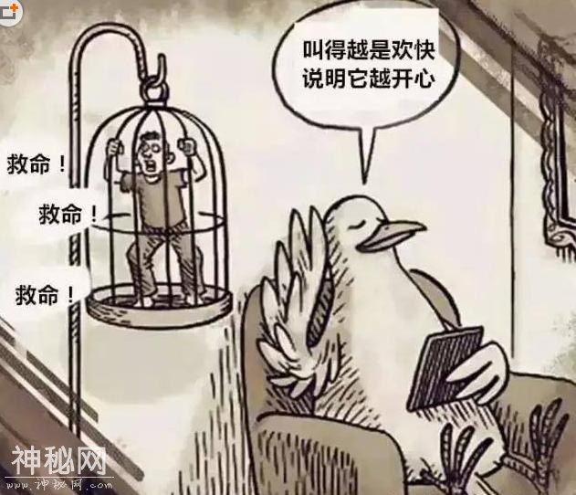假如人类和动物互换角色，你敢看么？-11.jpg