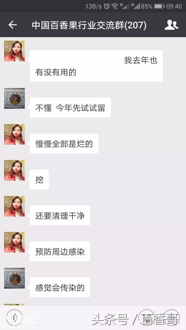 百香果叶片发现疑是病毒，如何处理？-7.jpg