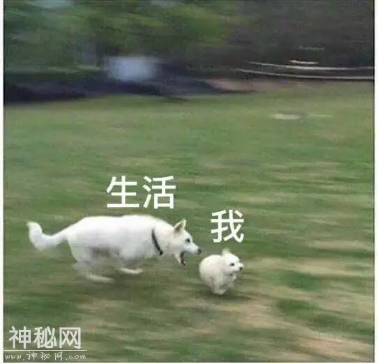 两年赚220万？你也可以智商碾压开发商！-6.jpg