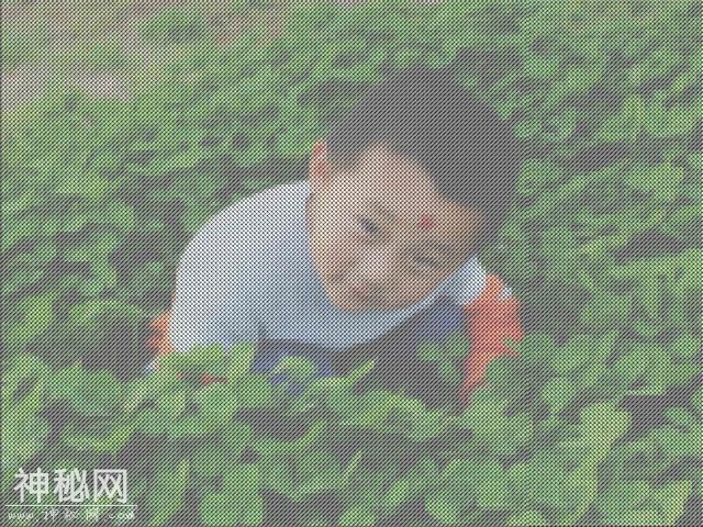【ps技巧】photoshop中怎么将照片处理成十字绣的效果-15.jpg