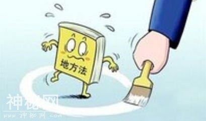「代表访谈」“地方立法现在普遍存在一个问题”快看全国人大代表里赞怎么说-5.jpg