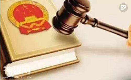 「代表访谈」“地方立法现在普遍存在一个问题”快看全国人大代表里赞怎么说-2.jpg
