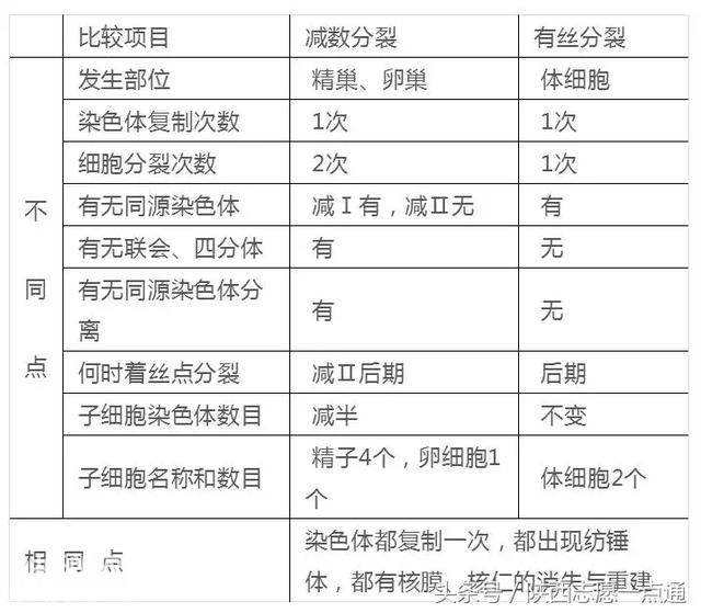 高考生物：17条重要知识帮你吃透减数分裂-13.jpg