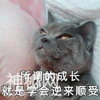 清明节真是见“鬼”了，说点正经事你们别怕哈-6.jpg
