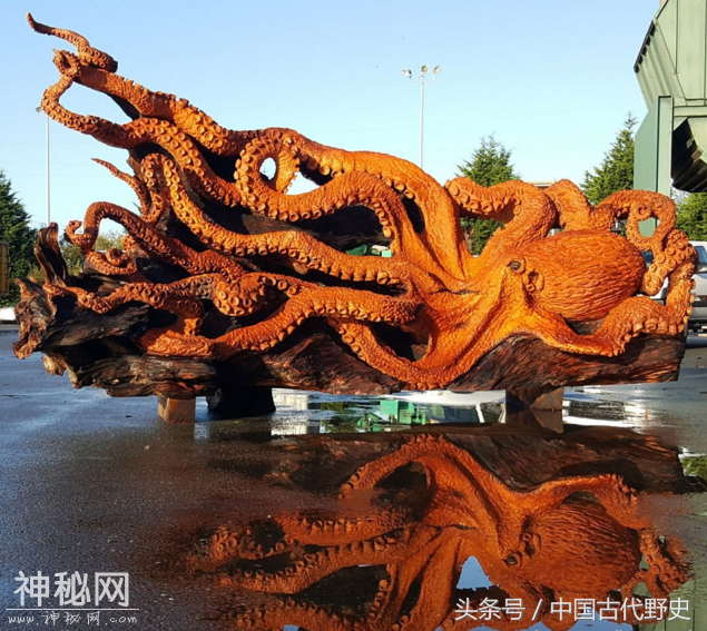 艺术家用四年时间将一块废弃的红木变成“巨型章鱼”，网友：浪费-6.jpg