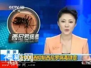 哈兽研乙脑病毒研究取得新成果｜为药物研制提供新思路-3.jpg