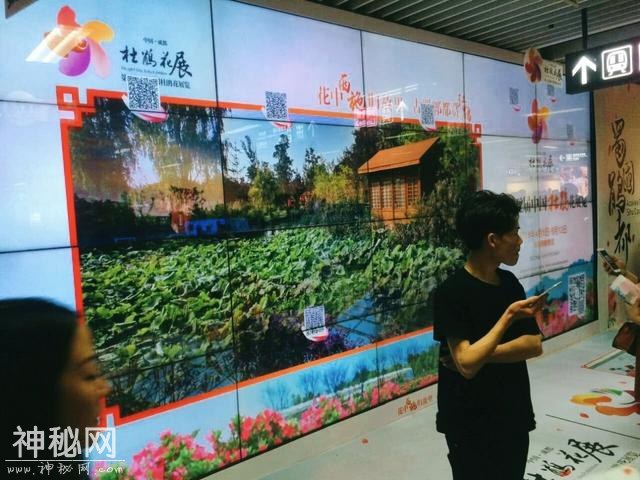 地铁还能这么搞！发红包，送福利，还玩穿越！身临其境游杜鹃花海-3.jpg