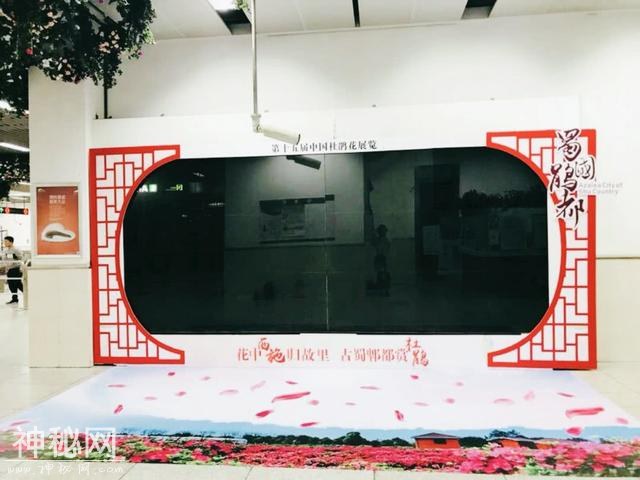 地铁还能这么搞！发红包，送福利，还玩穿越！身临其境游杜鹃花海-8.jpg