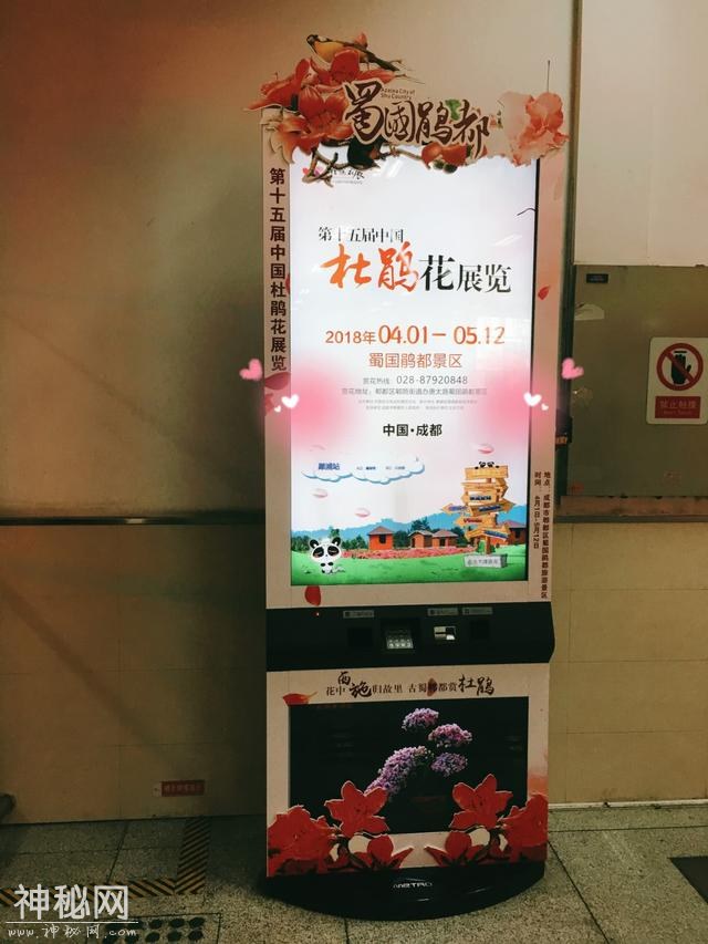 地铁还能这么搞！发红包，送福利，还玩穿越！身临其境游杜鹃花海-9.jpg