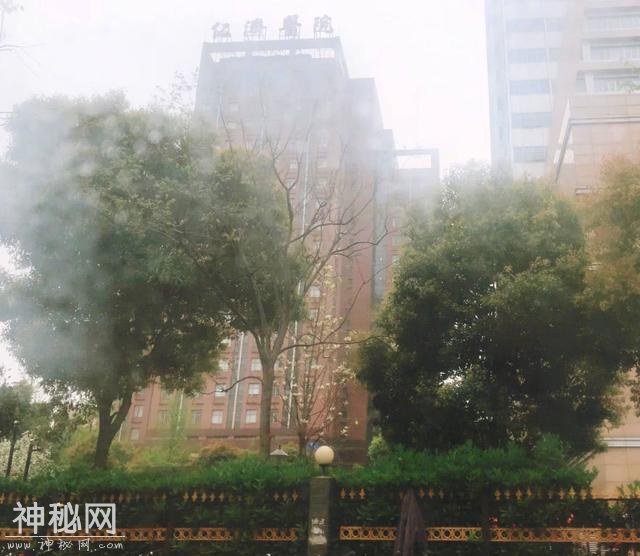 谢娜再次坐车外出意外透露身体近况，网友：这次不用隔着窗户了！-6.jpg