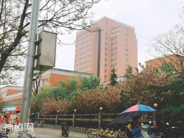谢娜再次坐车外出意外透露身体近况，网友：这次不用隔着窗户了！-7.jpg