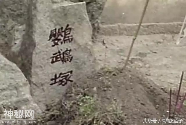在这部87年的《聊斋志异》面前，很多内地恐怖片都成了将就-22.jpg