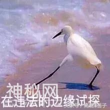 在这部87年的《聊斋志异》面前，很多内地恐怖片都成了将就-59.jpg