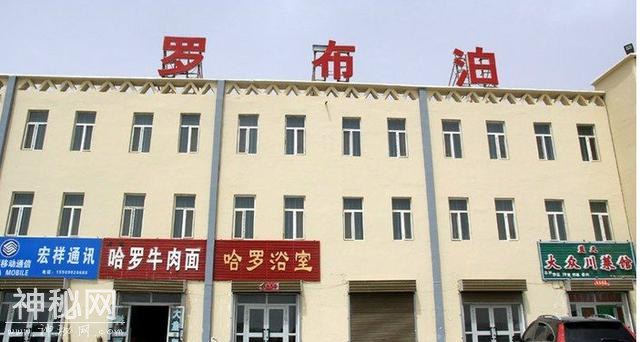 “复活”的罗布泊-5.jpg