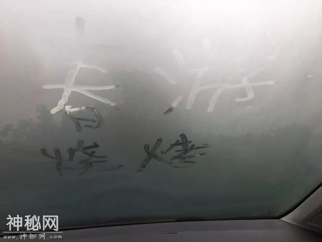 谁能想到 熬过了冬天却差点冻死在春天……不过明起回温！-2.jpg