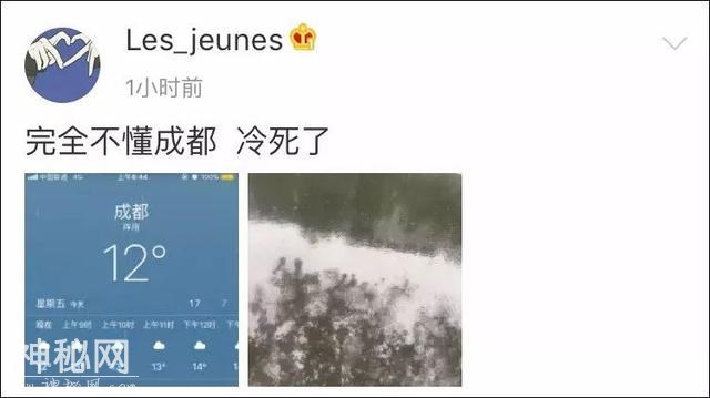 谁能想到 熬过了冬天却差点冻死在春天……不过明起回温！-5.jpg