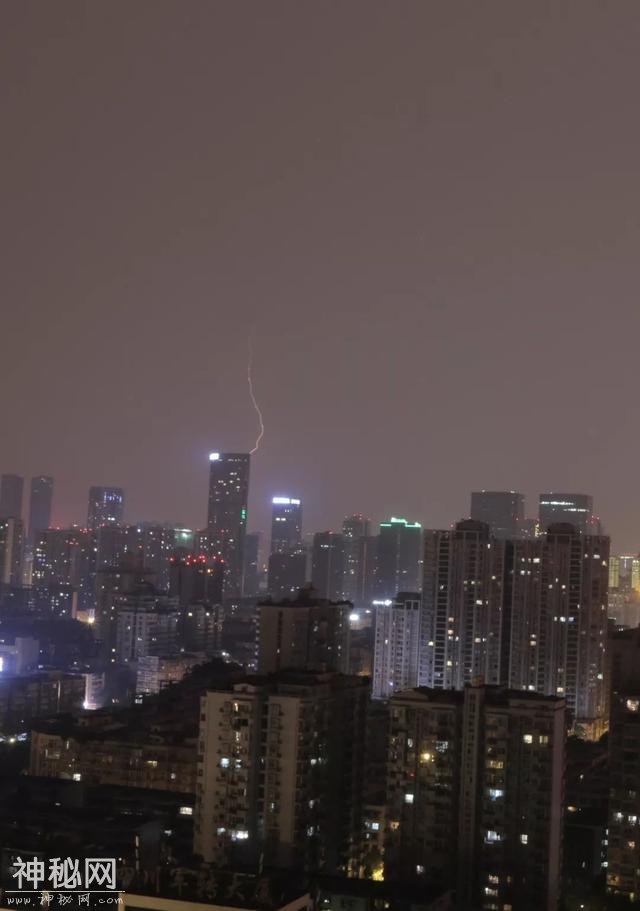 谁能想到 熬过了冬天却差点冻死在春天……不过明起回温！-16.jpg