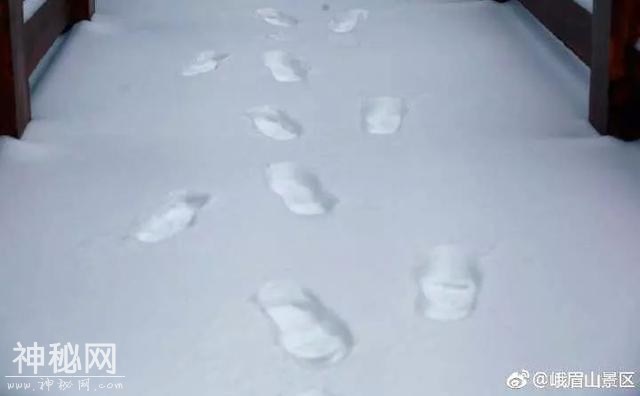 谁能想到 熬过了冬天却差点冻死在春天……不过明起回温！-14.jpg