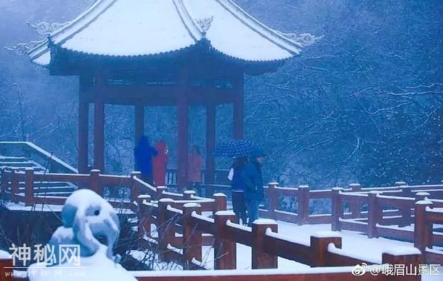 谁能想到 熬过了冬天却差点冻死在春天……不过明起回温！-13.jpg