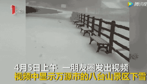 谁能想到 熬过了冬天却差点冻死在春天……不过明起回温！-26.jpg