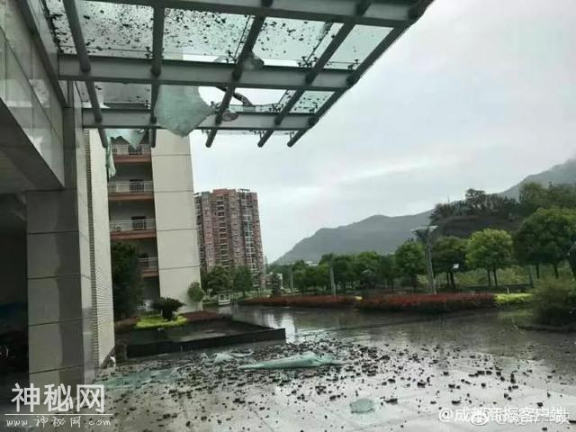 谁能想到 熬过了冬天却差点冻死在春天……不过明起回温！-23.jpg