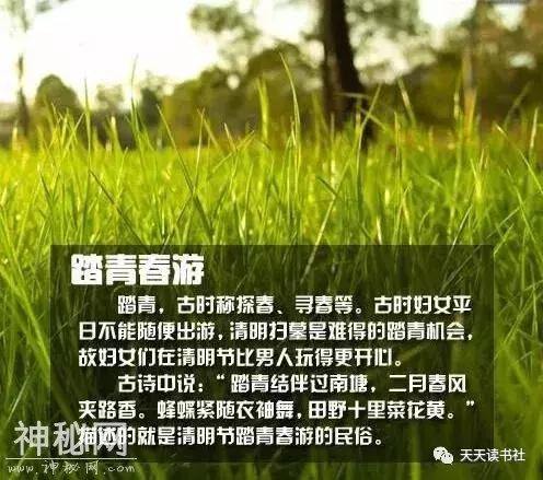 清明节的来历和风俗习惯(一年一清明，一岁一追思)-3.jpg