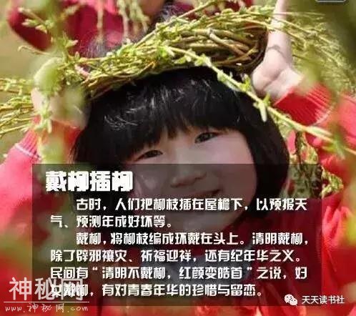 清明节的来历和风俗习惯(一年一清明，一岁一追思)-4.jpg