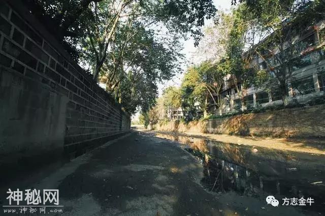 城市探险：逆流而上徒步西郊河-8.jpg