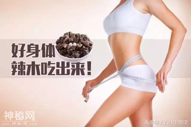 辣木籽的保健功效及保健实例-4.jpg