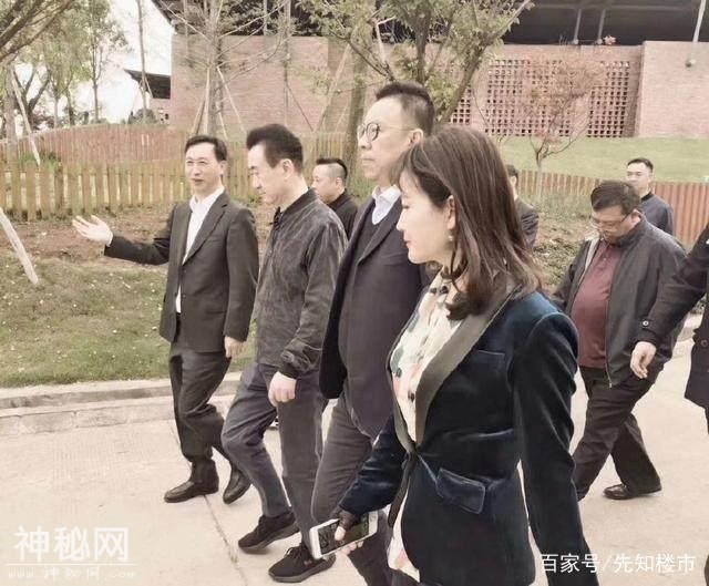 清明节，王健林为何去麓湖？-3.jpg