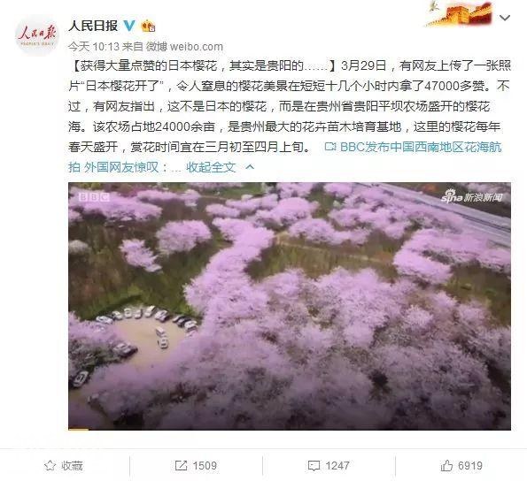 樱花很美怎么留下？当然是吃到胃里啦！这份成都最全樱花美食地图拿好不谢！-4.jpg