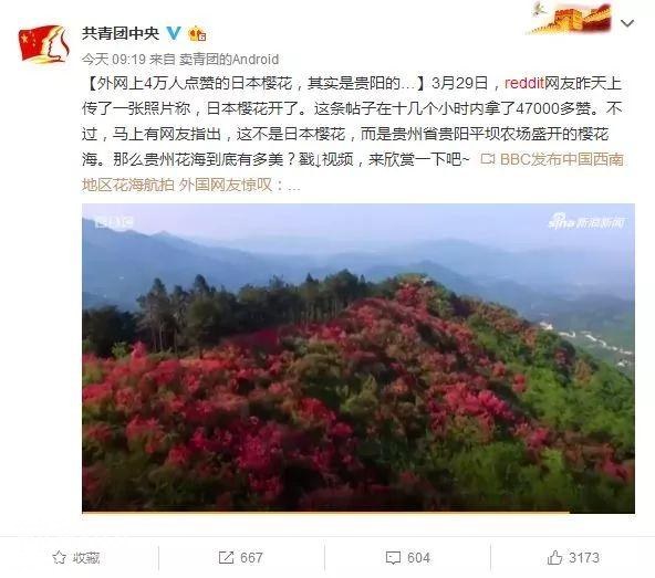 樱花很美怎么留下？当然是吃到胃里啦！这份成都最全樱花美食地图拿好不谢！-5.jpg