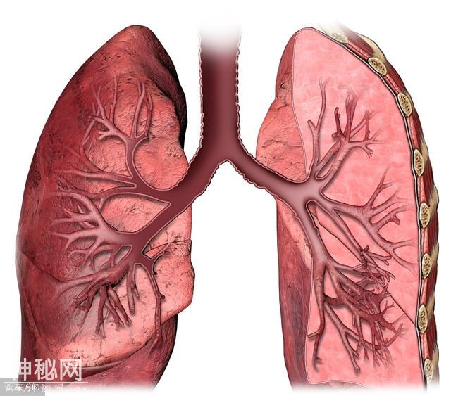 身体这个地方越脏对健康越不利，很多人还无动于衷，告诉家人吧-2.jpg