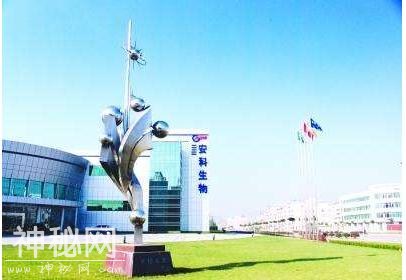 安科生物(300009)：又一“医药龙头“, 或将取代盘龙药业封王-1.jpg