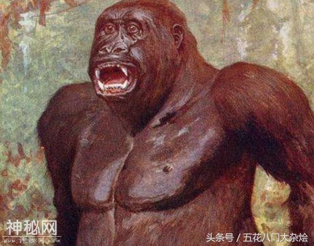 这5种未知生物有可能存在, 第3种存活性较大-4.jpg