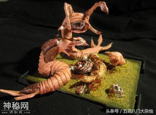 这5种未知生物有可能存在, 第3种存活性较大-1.jpg