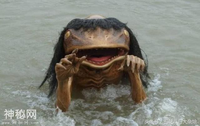 这5种未知生物有可能存在, 第3种存活性较大-2.jpg