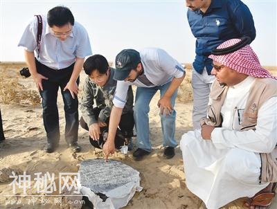 中沙考古队发现中国瓷片-1.jpg