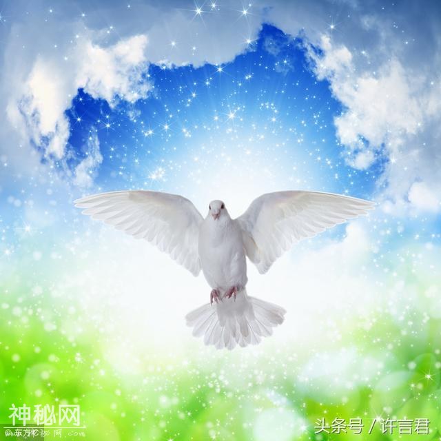 三则故事，很短，事关生存之道，道理很深！-1.jpg