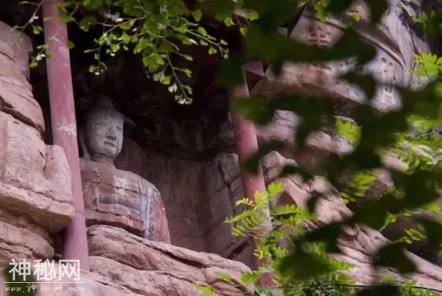 青推荐｜只需三天时间，给你一个重新认识蒲江的机会！-27.jpg