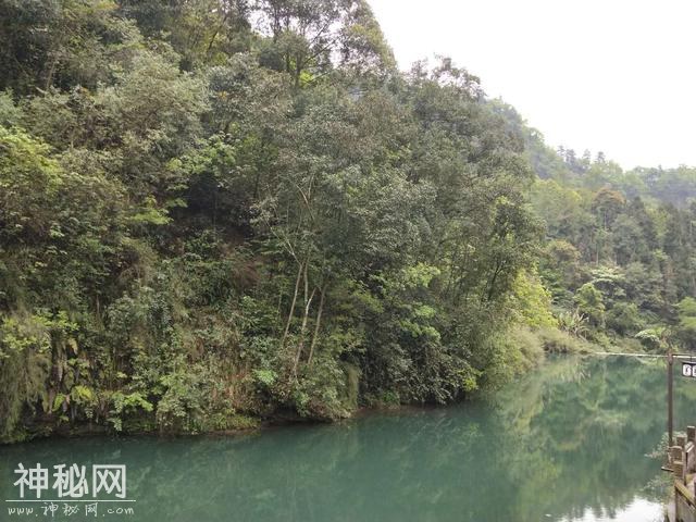 清明时节的峨眉，秀丽的风景不吐不快的“人文”-2.jpg
