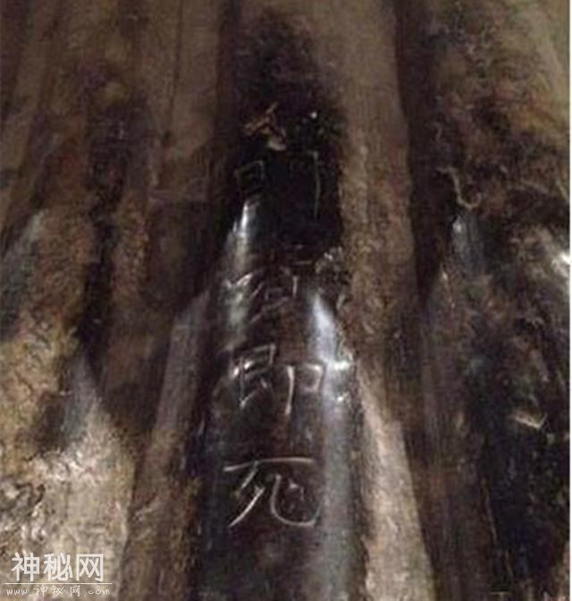 考古学家发掘一座完整古墓，陪葬品豪华无比！棺木上刻着4个字-2.jpg