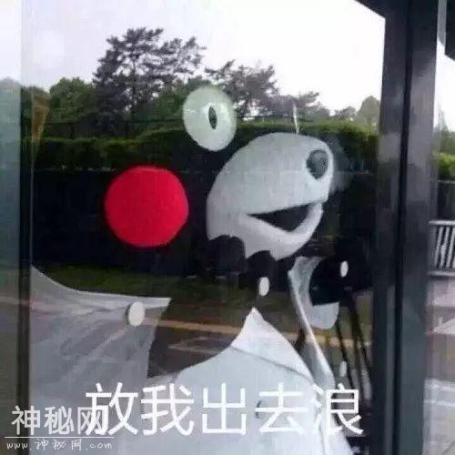 QQ空间非主流个性签名大考古，看到哪一句你lay了？-5.jpg