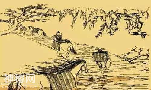 汉代古墓发现2200年前古茶叶，考古专家：绝无仅有的皇帝专用茶叶-3.jpg