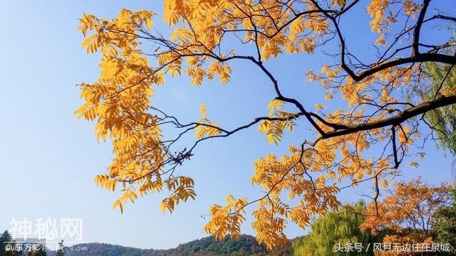 星球上的那些不为人知的美景-8.jpg