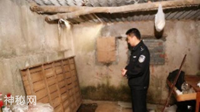 现代盗墓界祖师爷，被他看上的墓地无一幸免，声称：专家都不如我-5.jpg