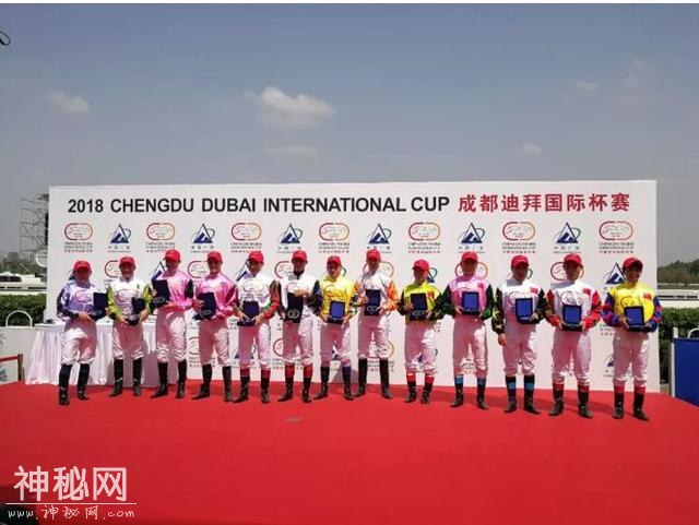 「特稿」赛马，是一种国际关系新形态！五年大考 “成都·迪拜国际杯”为温江带来了什么？（之三）-4.jpg